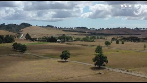 Video for Kaikohe one of worst-hit from current drought