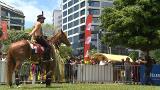 Video for Tokomaru horsebreaker tipped as favourite at Equitana Festival