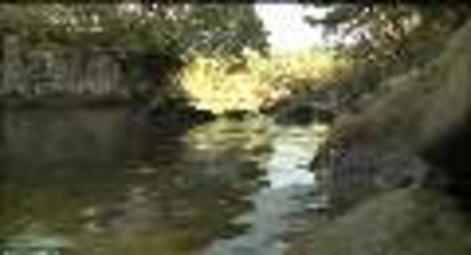 Video for Waitangi Tribunal inspects Mataatua canoe site