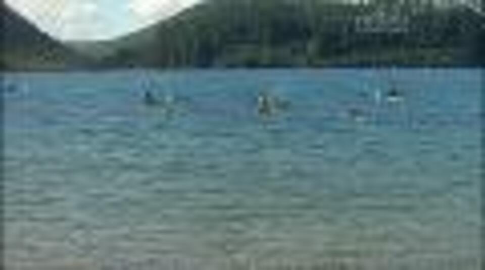 Video for Te whakataetae NZ Canoe Sprint 2013