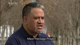 Video for Ngāti Pāoa accuse Council of disregarding evidence 