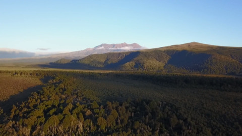 Video for Rāhui placed on Tongariro 