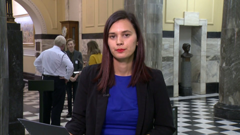 Video for Māori Television appears before Māori Affairs Select Committee