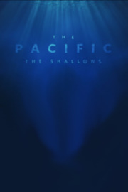 Video for The Pacific, The Shallows