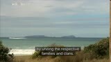Video for Ngāti Wai erects pou to assert tribal fishing rights