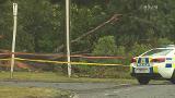 Video for Rotorua woman killed as tree falls on car 