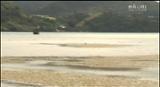 Video for Pipi banks quickly disappearing in Whangarei Harbour
