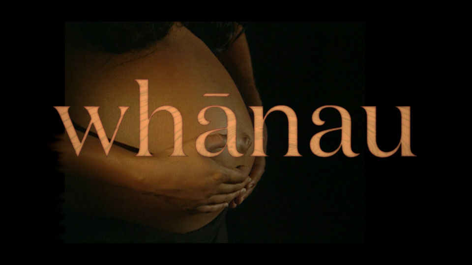 Video for Whānau, Series 1 