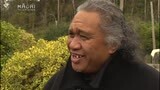 Video for Wehi whānau humbled by kind gesture