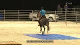 Video for Tui Teka crowned champion at Equitana Festival