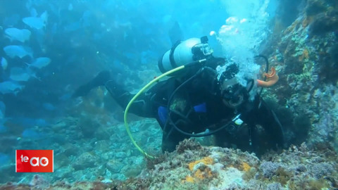 Video for Kina and koura diving wānanga in Te Whānau a Apanui sparks new course
