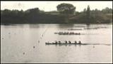 Video for Big Fat Oysters take gold on Day 3 at Waka Ama Nationals