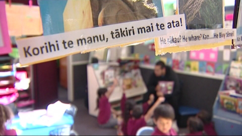 Video for Ministers seek help to shape future for Māori education