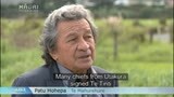 Video for Elders urge their people to remember who they really are at Waitangi Tribunal hearing