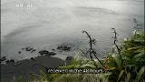 Video for Hundreds of hapū protect their rights under the customary marine title
