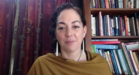 Video for Professor aims to raise understanding of Te Tiriti at Massey University