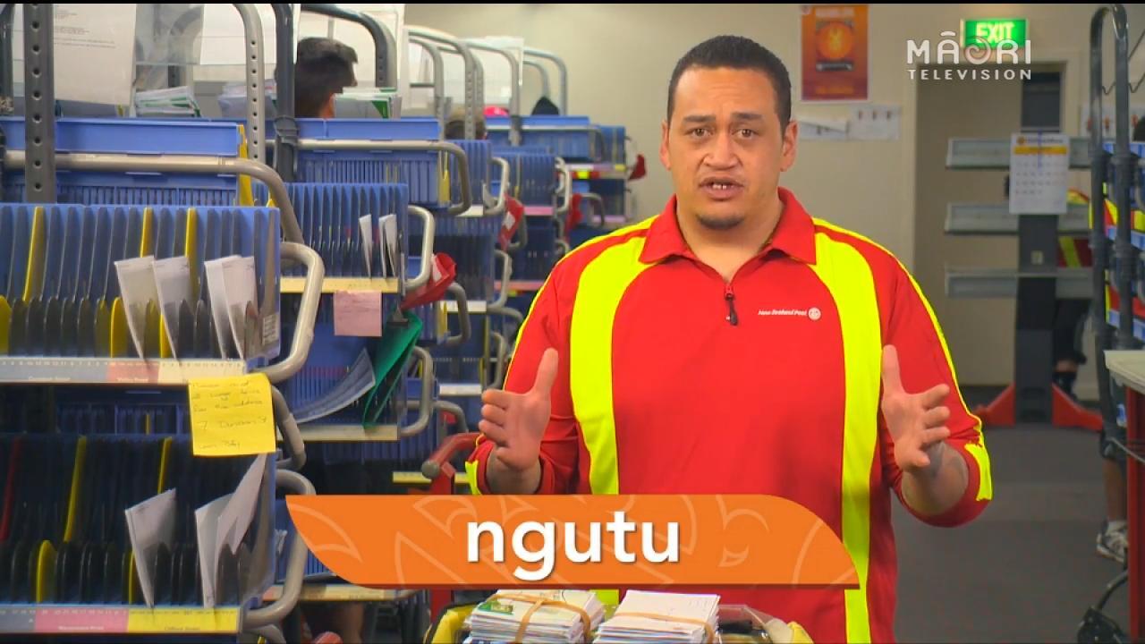 te-kupu-o-te-wiki-ngutu-m-ori-television