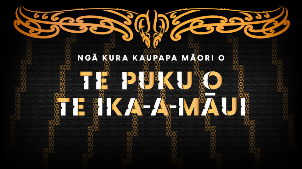Video for Ngā Kapa Haka Kura Tuarua, Ūpoko 20