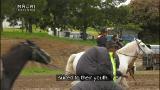 Video for Interest in horse sports rising in Rotoiti