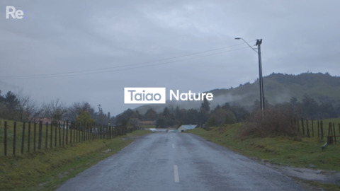 Video for Rediscovering Aotearoa, Episode 1