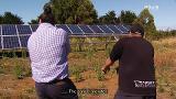 Video for Solar panels stolen from Mōtakotako Marae in Raglan