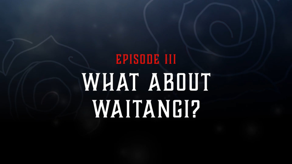 Video for Rage Against the Rangatahi 2, What about Waitangi?, Ūpoko 3