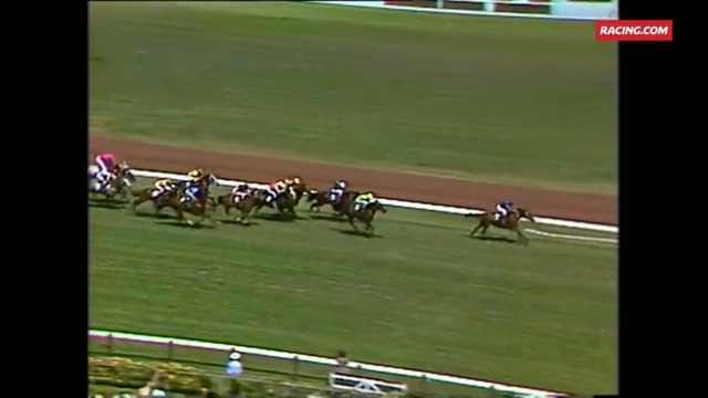 1981 Melbourne Cup