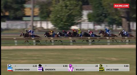 Wodonga Race 7 251116 | RACING.COM