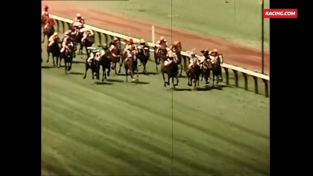 1966 Melbourne Cup