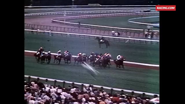 1978 Melbourne Cup