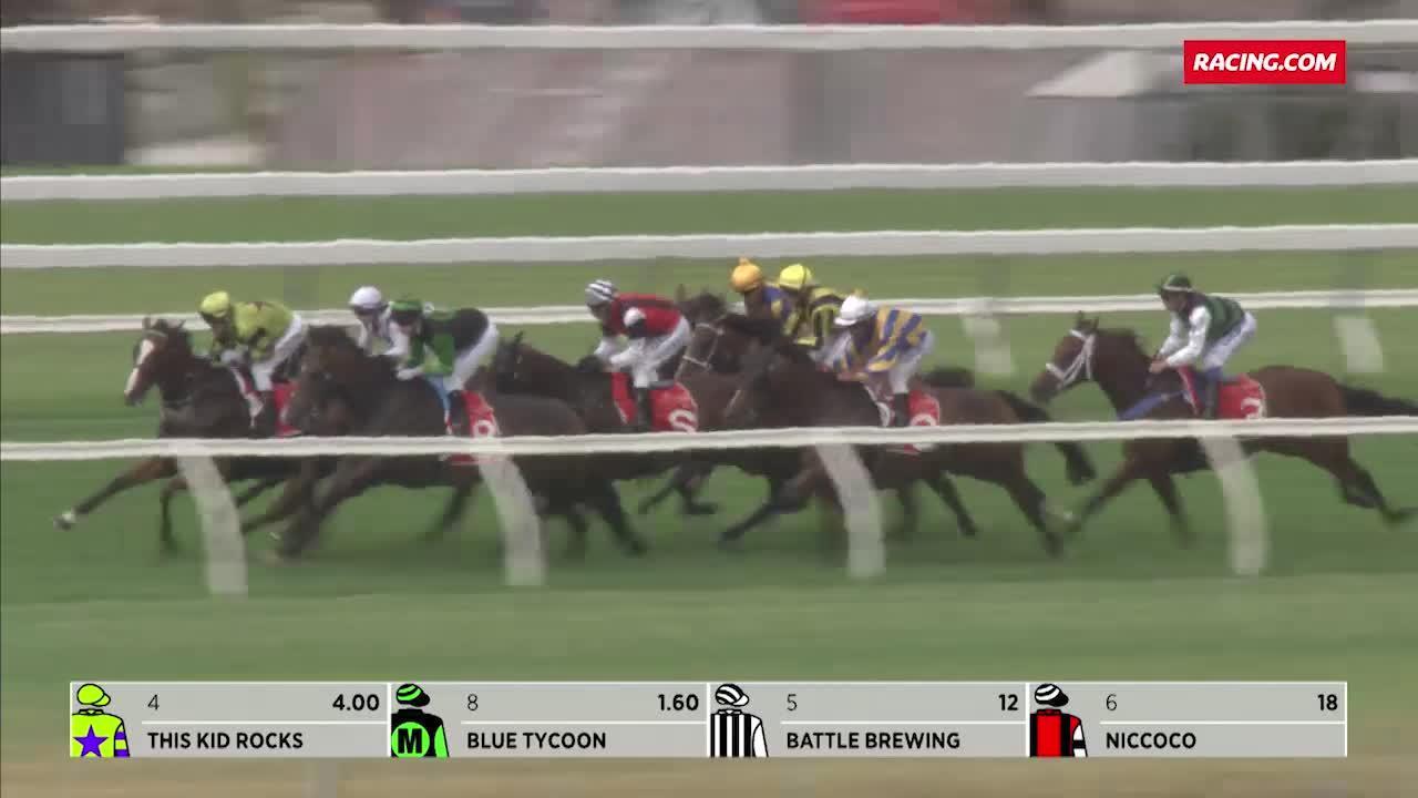 MORPHETTVILLE PARKS RACE 3 FORM GUIDE visual data 5