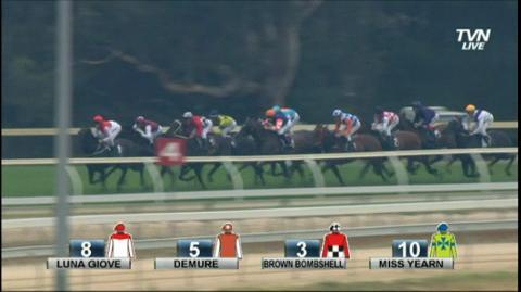 SEYMOUR RACE 1 FORM GUIDE visual data 7