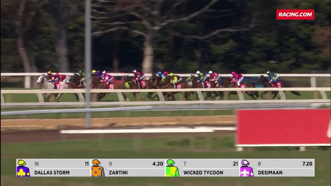 Wicked Tycoon Race Horse Profile Racing Com