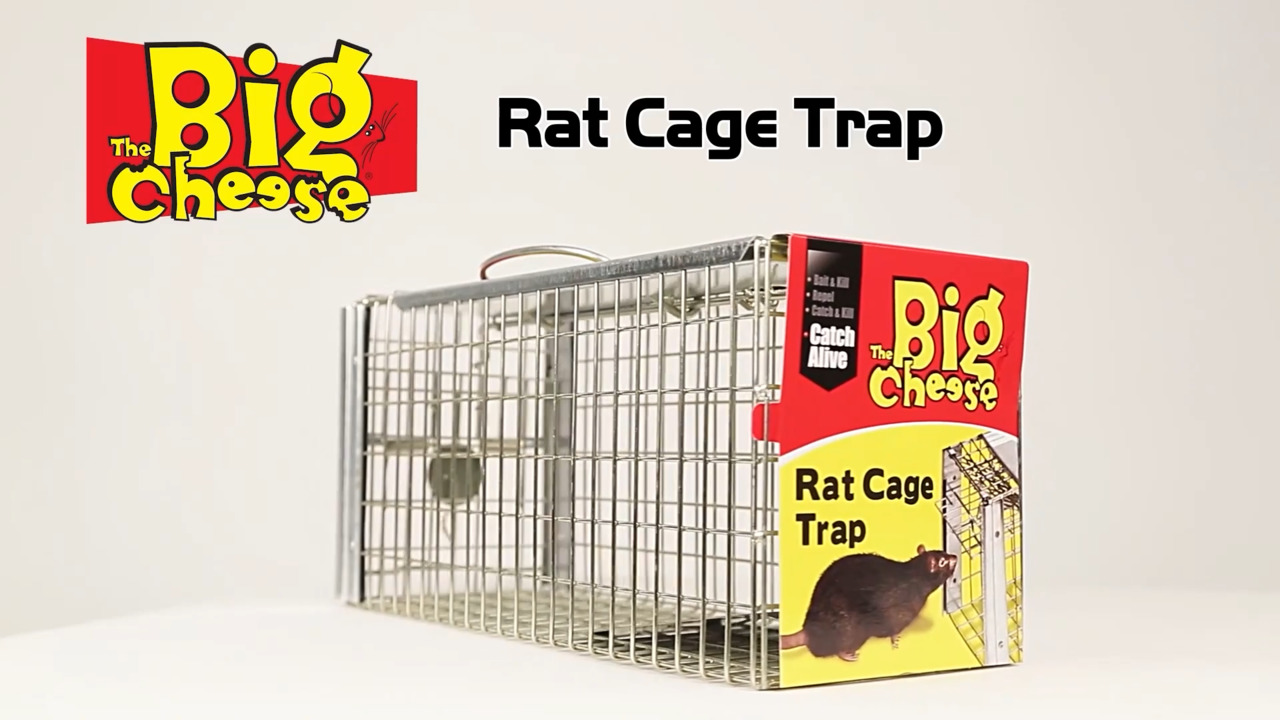 How to Make a Zip Tie Rat Trap That Actually Works