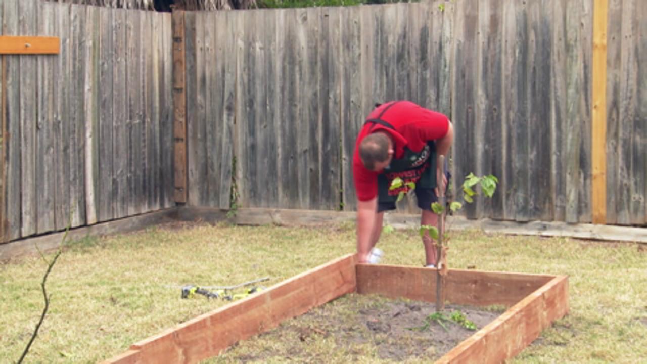 How To Build A Garden Bed Bunnings