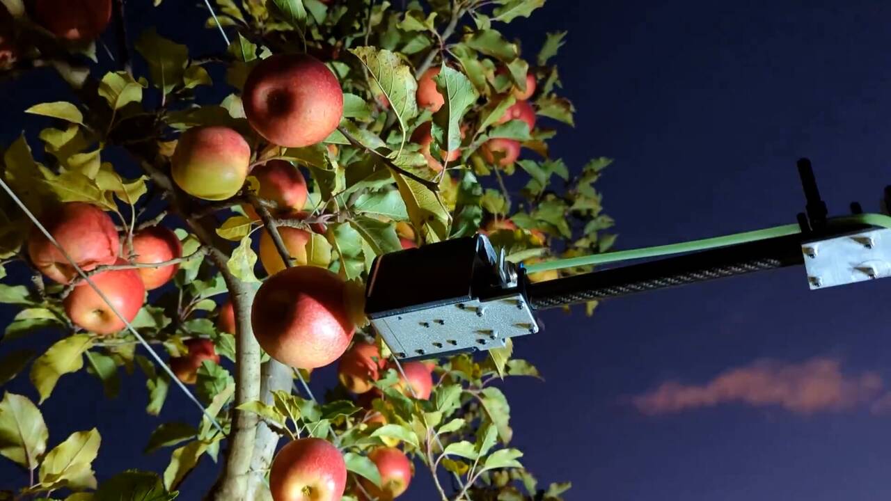 How Australian agricultures future is automation