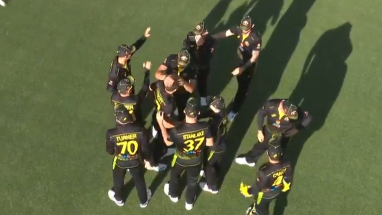 Abbott swarmed by teammates after wicket