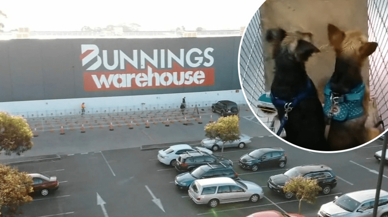 Bunnings expands pet range offering