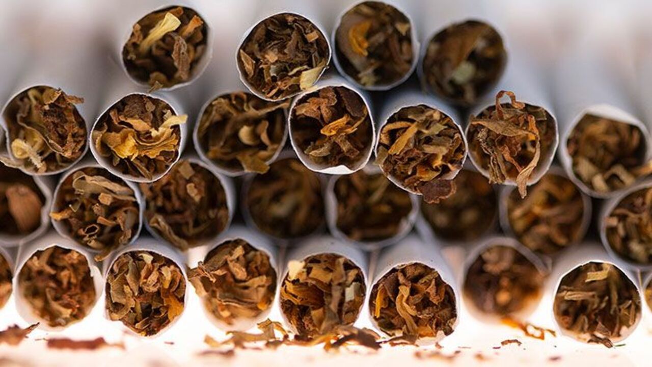 Organized crime licks its lips as OZschwitz tobacco excise set to hit $1 a stick Image