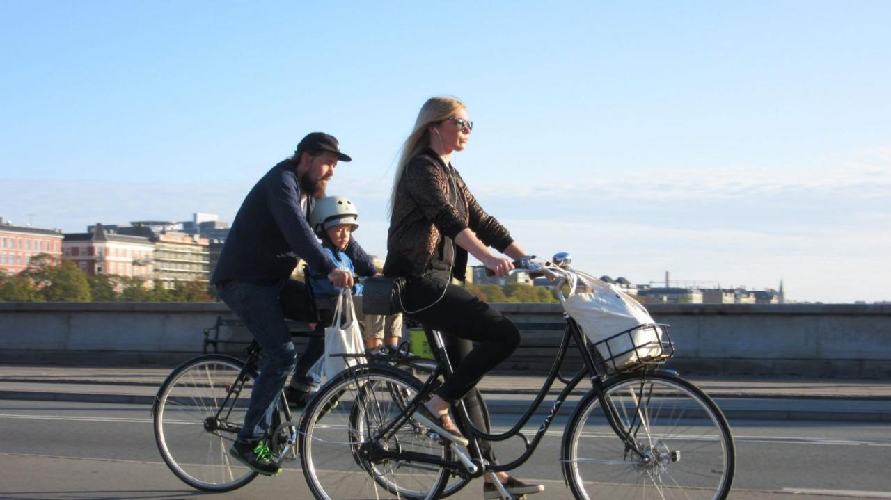 Who wouldn't want this? The joys of cycling in Copenhagen