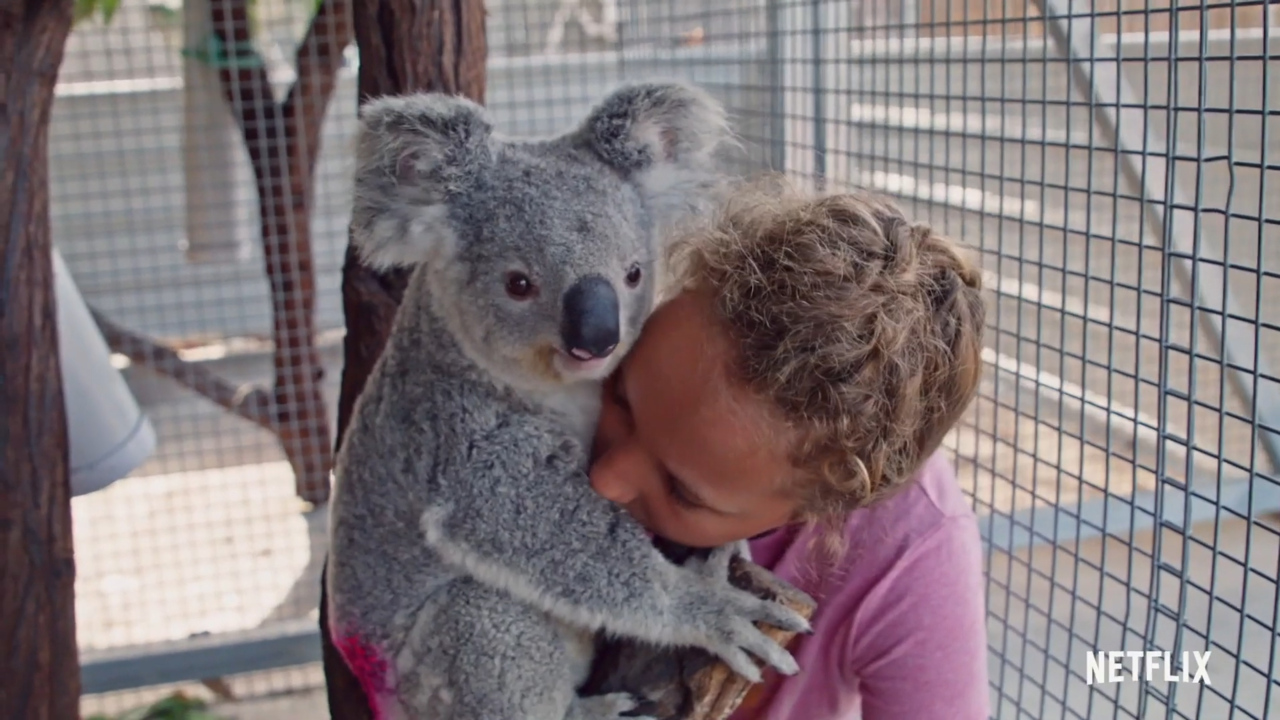 Meet Australia's new conservator superstar, 'Koala Whisperer' Izzy Bee