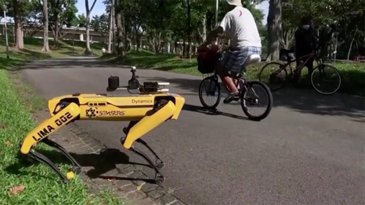 Coronavirus: Roaming 'robodog' SPOT tells Singapore park goers to ...