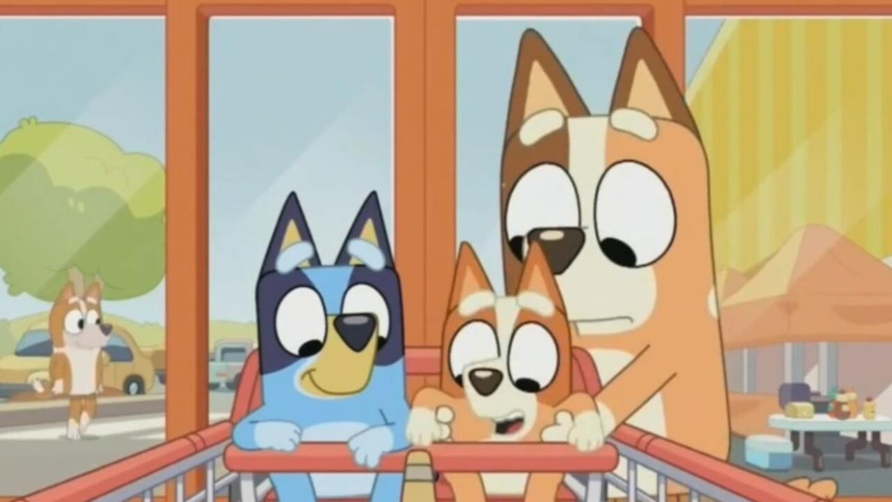 Abc Kids Bluey Shows To Watch Bingo Bluey Baby Race Watch Watch