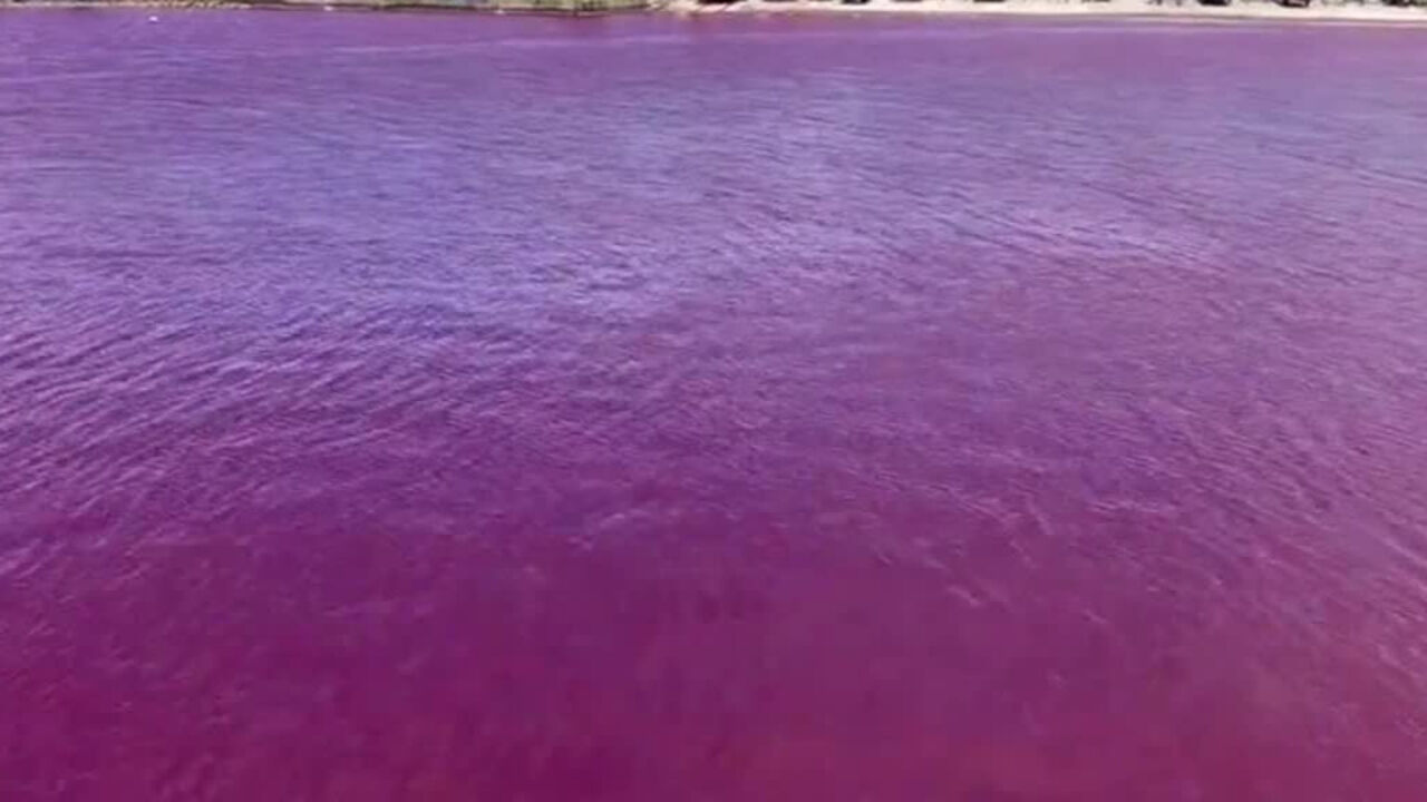 Brewery leak turns sea red in Japan