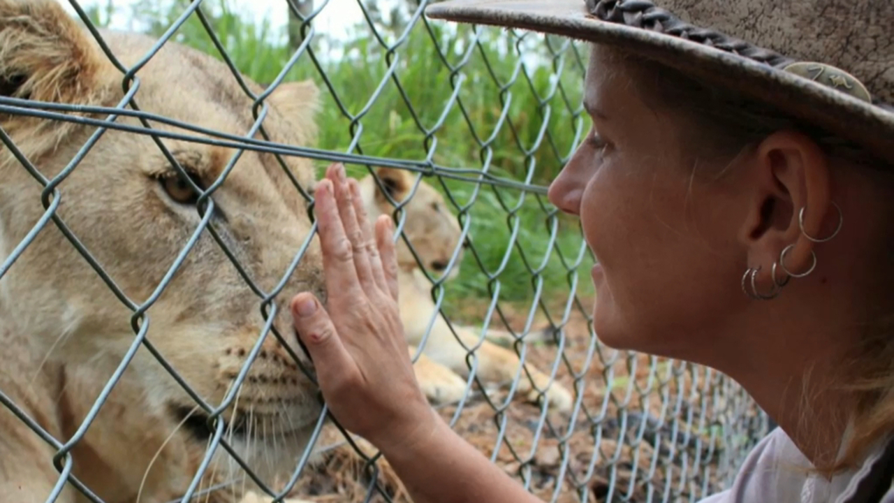 Pray for her': Tributes pour in for zookeeper following lion attack