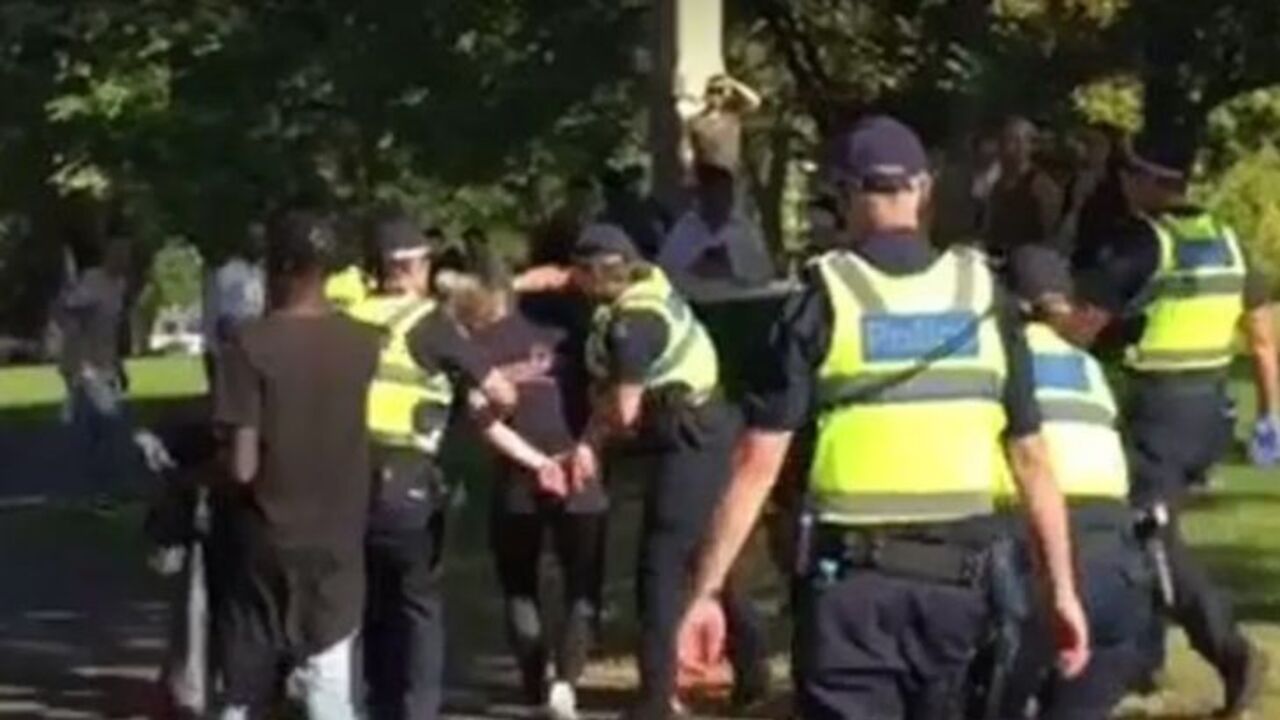 Teenage girl 'punched' by police officer