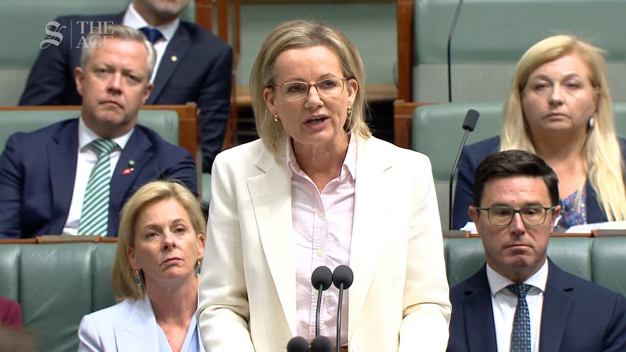 Displaying the wrong values': Sussan Ley attacks PM over Joy
