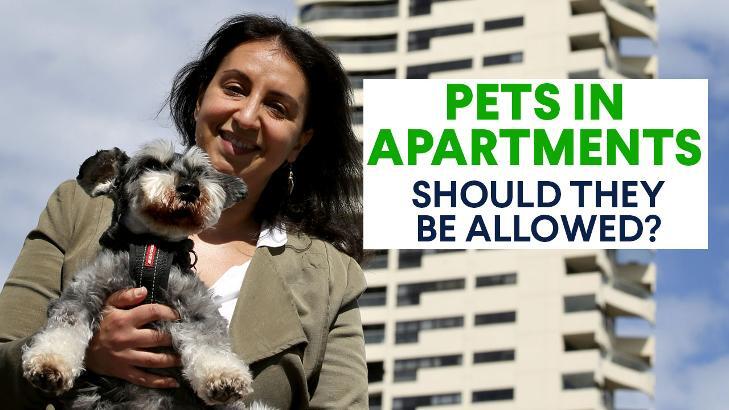 Pet-Friendly Living: Essential Information for Rental Property Owners