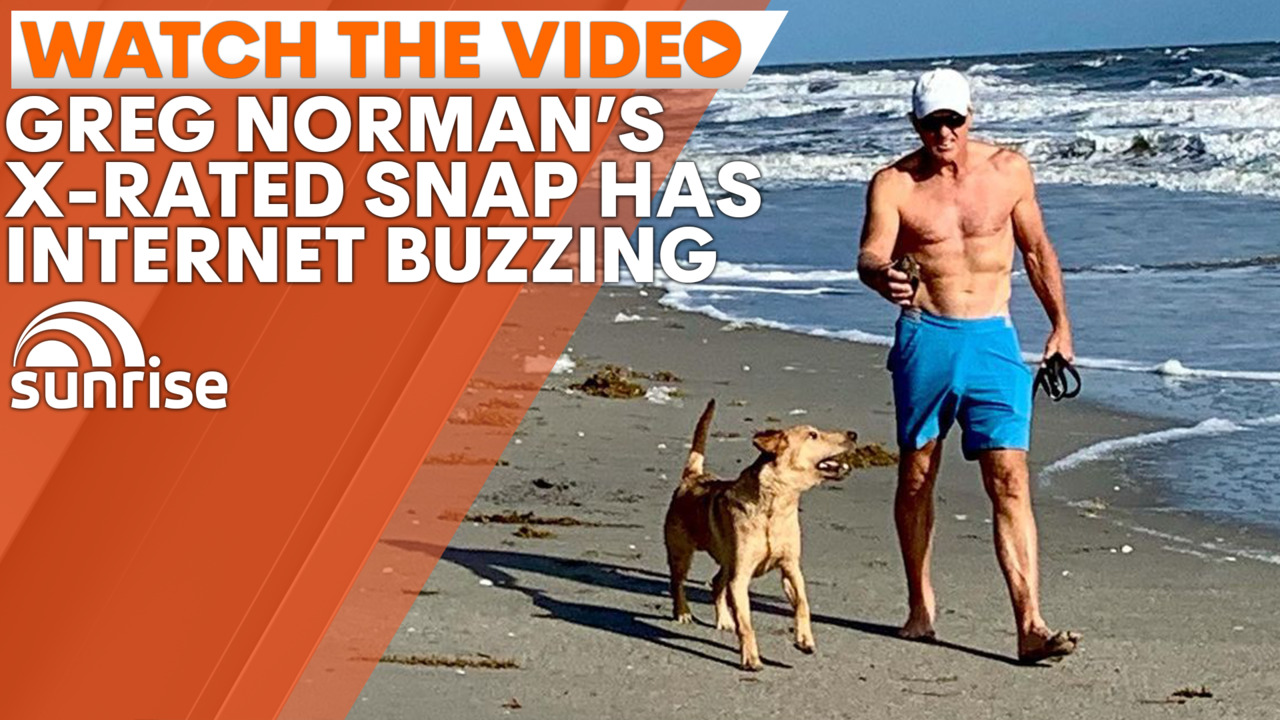 Internet Responds To Viral Greg Norman Picture As Paige Spiranac Weighs In 7news