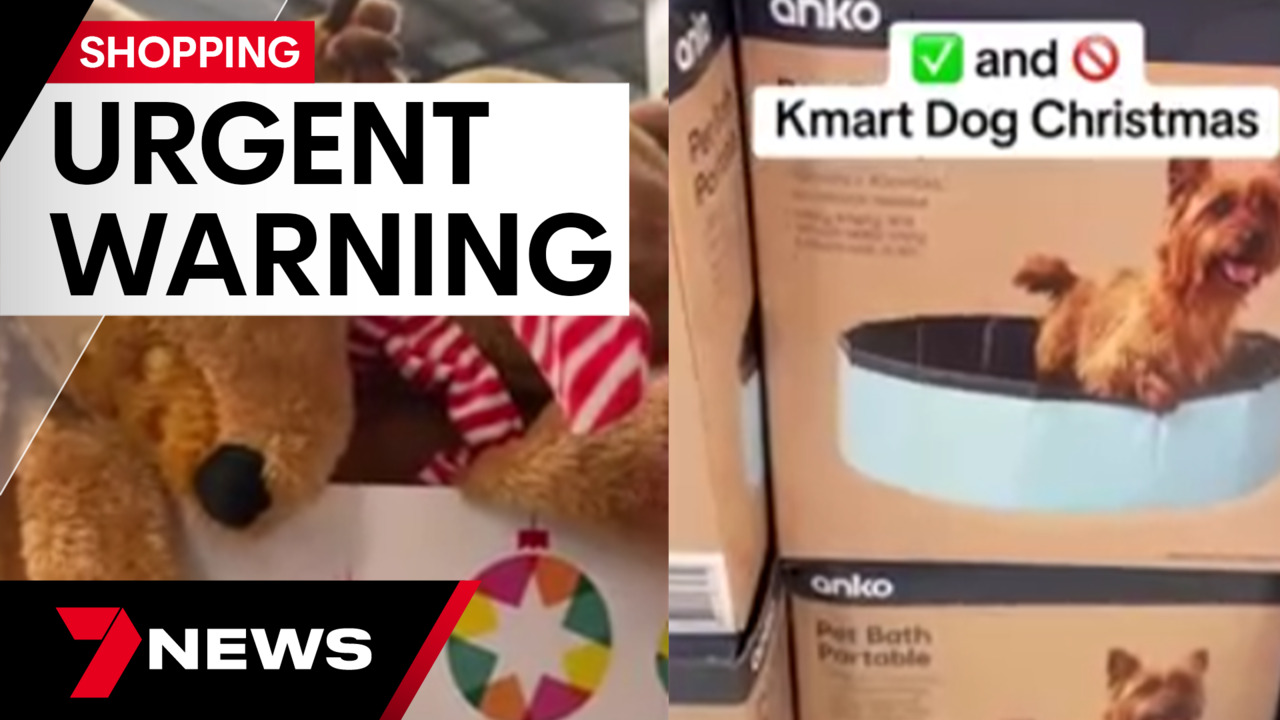 Dog expert s urgent warning over new Kmart dog buys